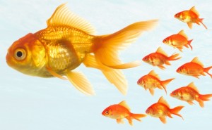 big-fish-little-fishBLUE_635